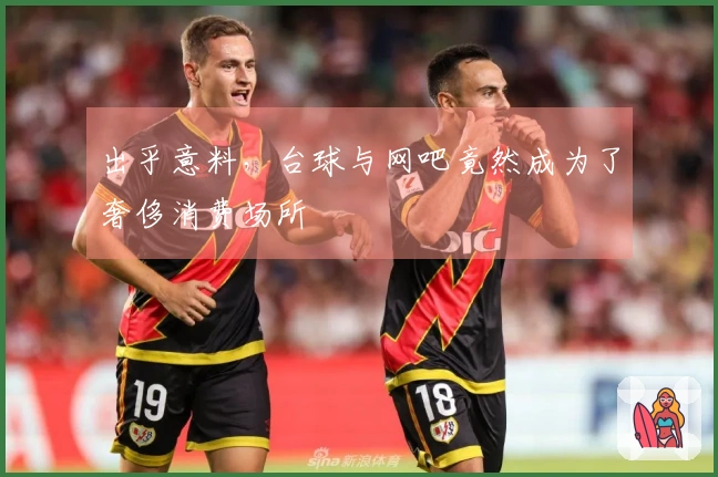 出乎意料，台球与网吧竟然成为了奢侈消费场所