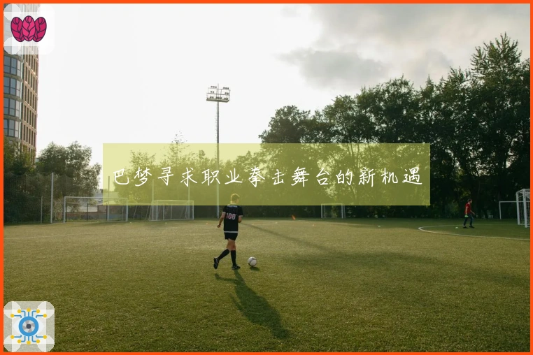巴梦寻求职业拳击舞台的新机遇