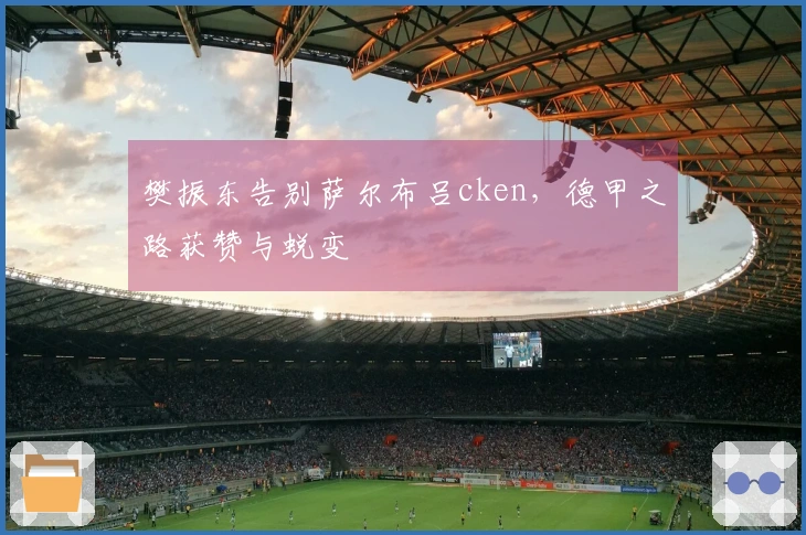 樊振东告别萨尔布吕cken，德甲之路获赞与蜕变